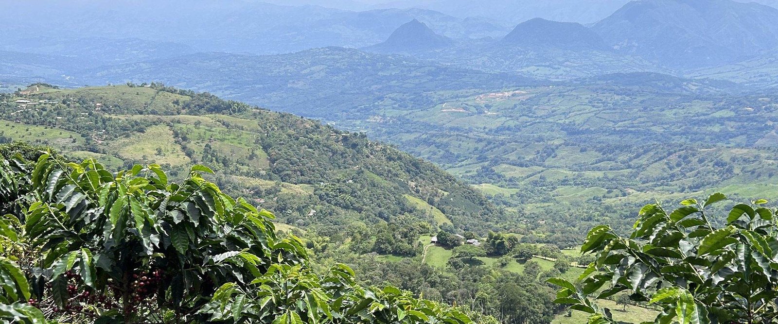 Montañas cafeteras de Antioquia, Colombia